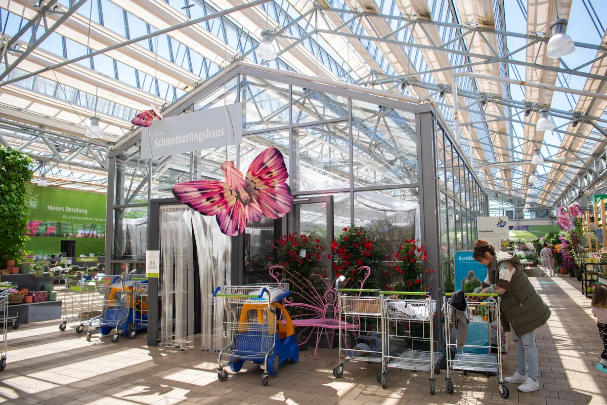 Impressionen vom Schmetterlingshaus im Gartencenter Meier in Dürnten